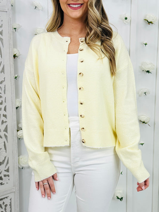 Soft Meadow Knit Top