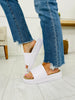 Blank Slate Slides- Multiple Colors!