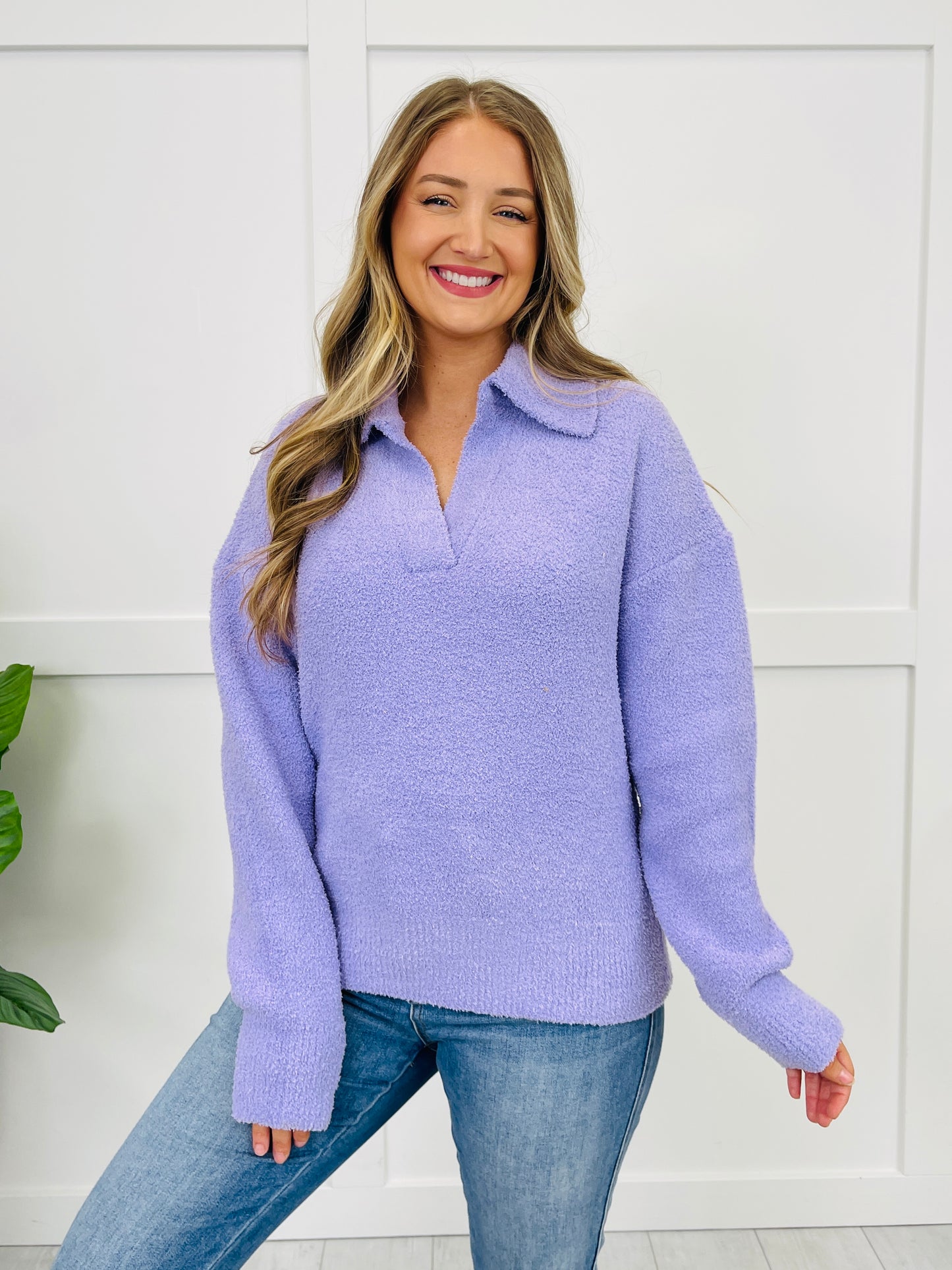 The Classic Collar Top In Multiple Colors