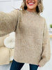 REG/CURVY MOCO Exclusive Winter Dreams Sweater --Multiple Colors!