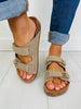 Sandals In Multiple Colors