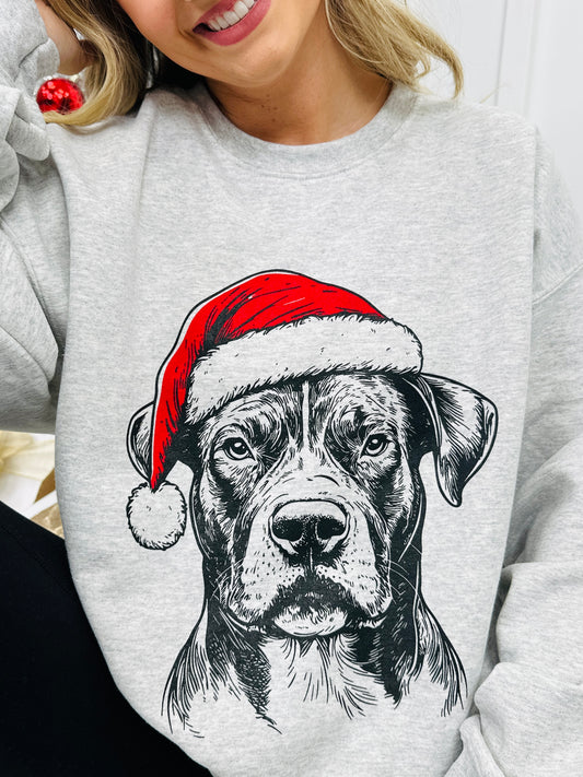Jolly Pit Bull Graphic Crewneck Sweatshirt