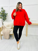 REG/CURVY MOCO Exclusive Super Scuba Pullover In New Holiday Colors!