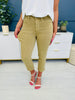 Judy Blue The Works Khaki Capris in Reg/Curvy