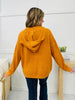 DOORBUSTER! REG/CURVY Roll The Spice Sweater