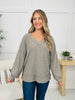 REG/CURVY Easy Everyday Top- Multiple Colors!