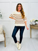 Nantucket Nights Sweater In Mocha