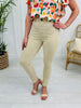 Judy Blue Khaki is The New White Tummy Control Skinny Jeans in Reg/Curvy