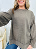 REG/CURVY It's Cozy Season Sweater-- Multiple Colors