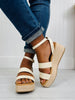 Dancing Through the Daylight Wedges In Bone