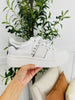Quiet Force Sneakers in White