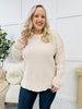 REG/CURVY Simple Serenity Sweater