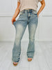 Judy Blue Major Crush Tinted Flare Jeans in Reg/Curvy