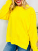 Color Pop Crewneck in Four Colors