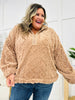 REG/CURVY Fuzzy Hug Pullover- Multiple Colors!