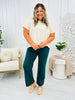 REG/CURVY Straight Leg Magic Pants-Multiple Colors!