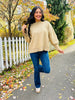 REG/CURVY Haven't You Heard Sweater- Multiple Colors!