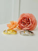 Twirl Me Twice Hoop Earrings in Multiple Colors