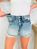 Judy Blue Turn Up The Heat Shorts