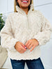 REG/CURVY Fuzzy Hug Pullover- Multiple Colors!