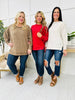 DOORBUSTER! REG/CURVY Irresistibly Sweet Sweater- Multiple Colors!