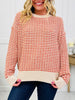 Cloudy Morning Sweater In Rust