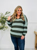 Stripe Of The Moment Sweater In Olive