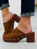 Saddlewood Studded Clog In Brown