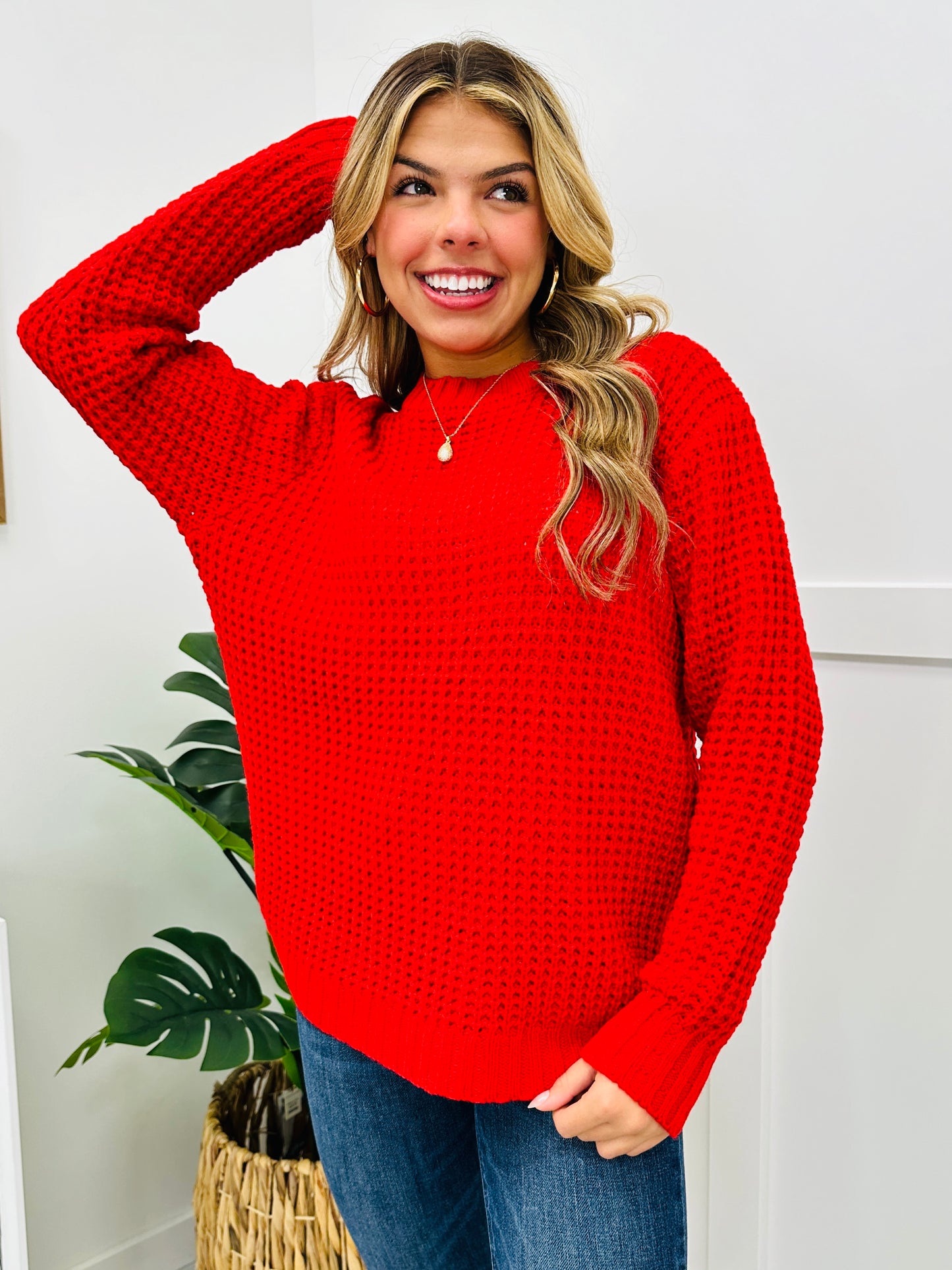 DOORBUSTER! REG/CURVY When In Doubt Sweater- Multiple Colors!